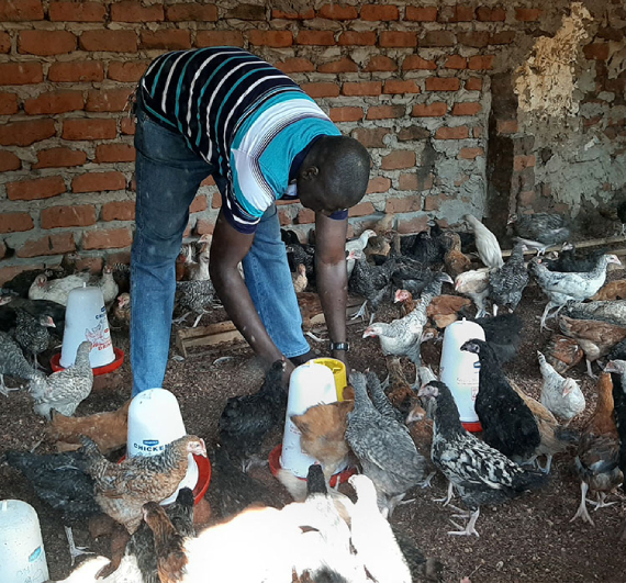 Poultry farming initiative for community families