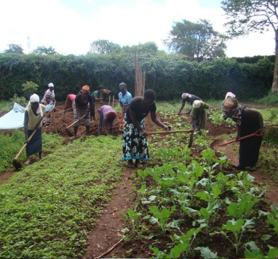 Agriculture & Farming Project